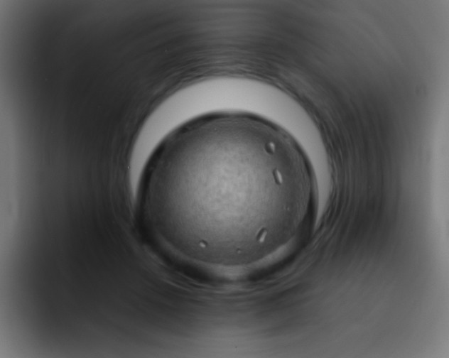 X0000093100456200710031833