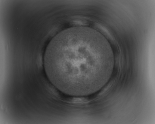 X0000093100457200710031833