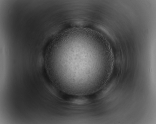 X0000093100459200710031833