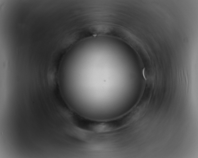 X0000093100460200710031833