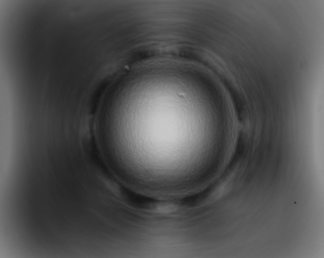X0000093100462200710031833
