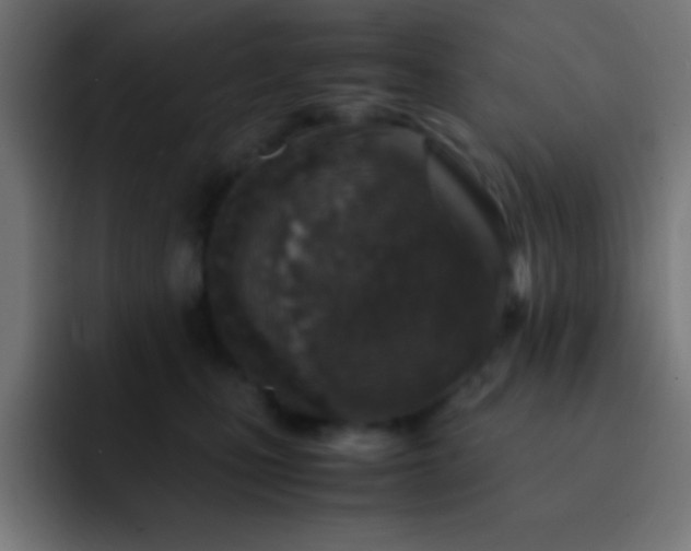 X0000093100471200710031833