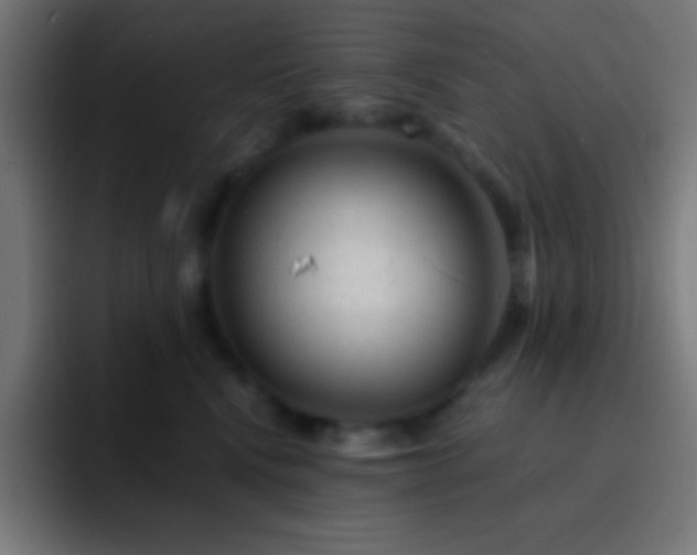 X0000093100472200710031833