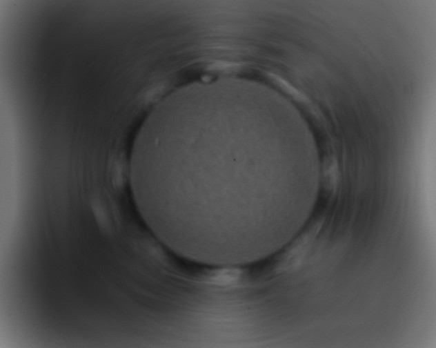 X0000093100474200710031833