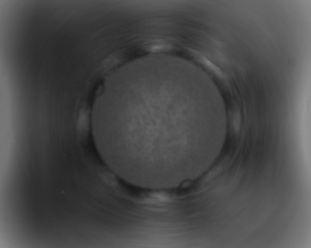 X0000093100475200710031833