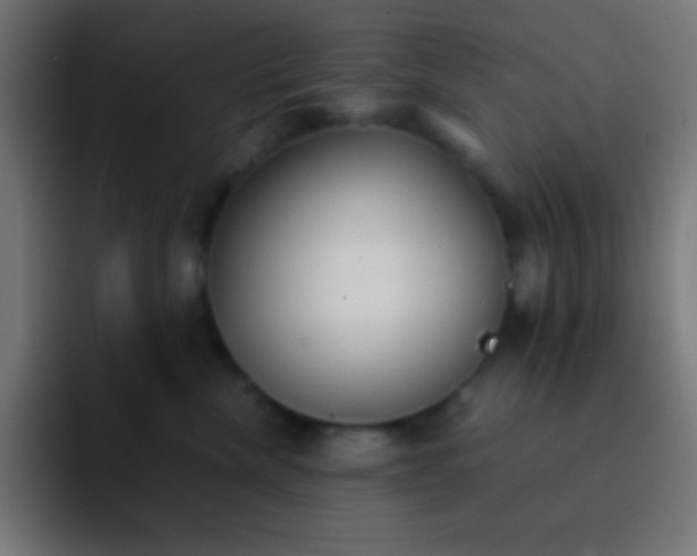 X0000093100476200710031833