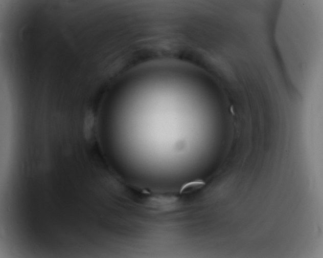 X0000093100480200710031833