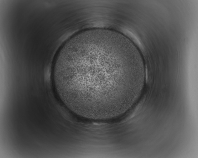 X0000093100483200710031832