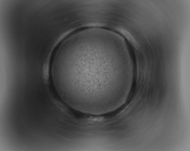 X0000093100484200710031832