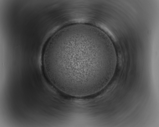 X0000093100486200710031832