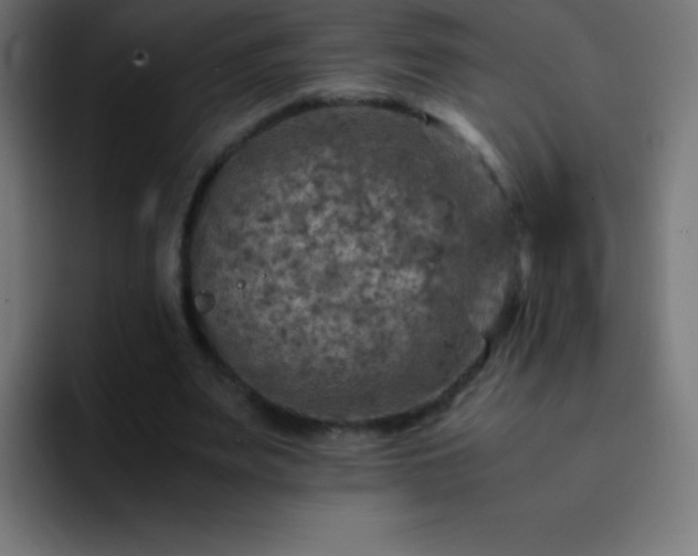 X0000093100487200710031832