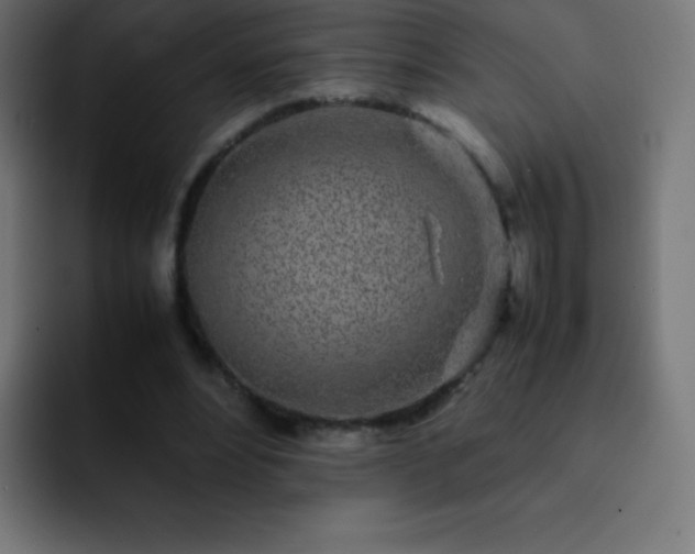 X0000093100488200710031832