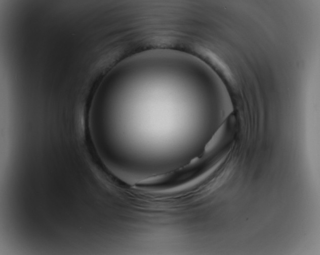 X0000093100493200710031832