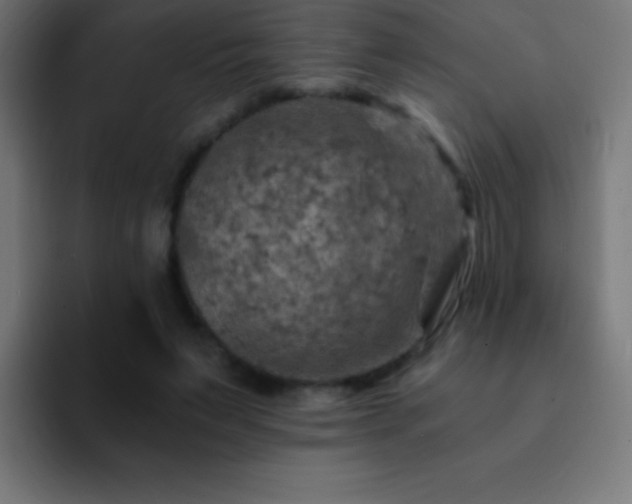 X0000093100495200710031832
