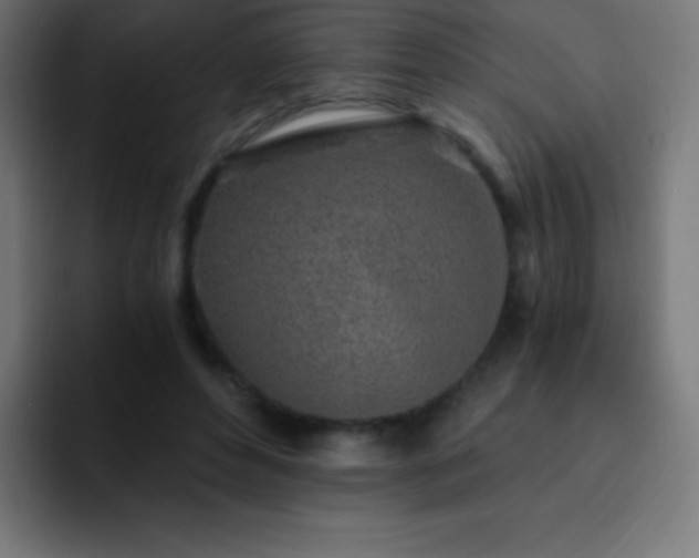 X0000093100496200710031832