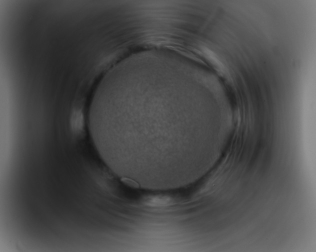 X0000093100500200710031832