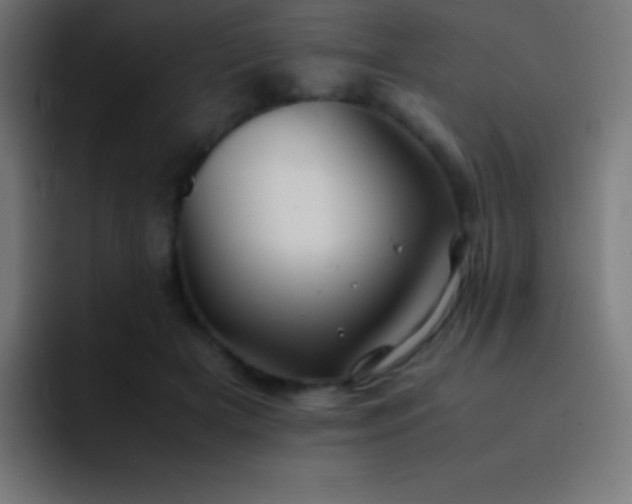 X0000093100505200710031832