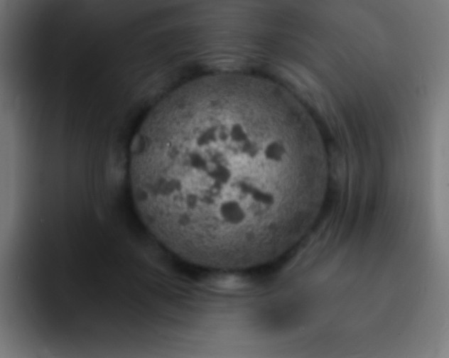 X0000093100507200710031832