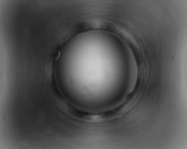 X0000093100509200710031832