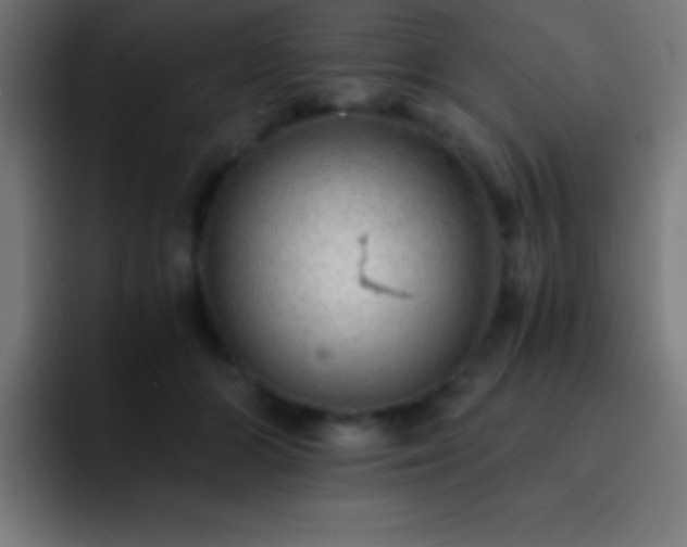 X0000093100510200710031832