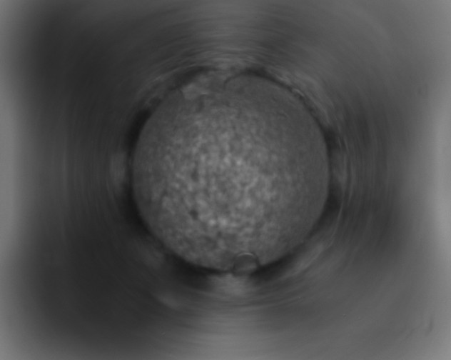 X0000093100511200710031832