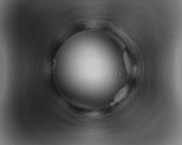 X0000093100513200710031832