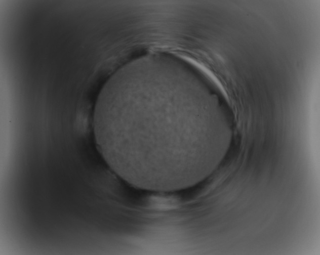 X0000093100515200710031832