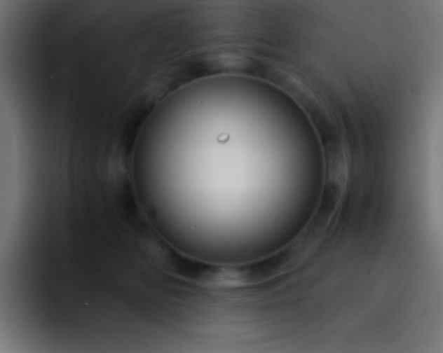 X0000093100518200710031832