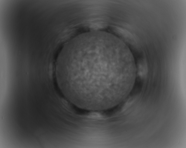 X0000093100519200710031832