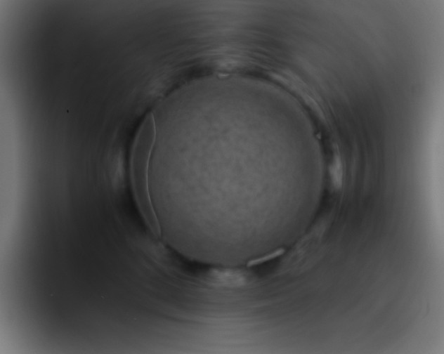 X0000093100520200710031832