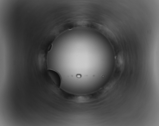 X0000093100522200710031832