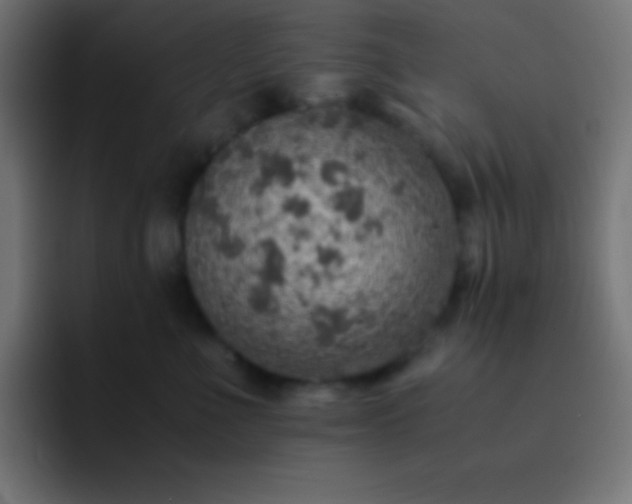 X0000093100523200710031832