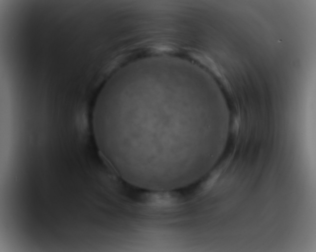 X0000093100524200710031832
