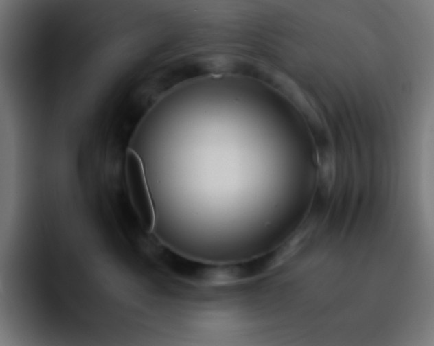 X0000093100525200710031832