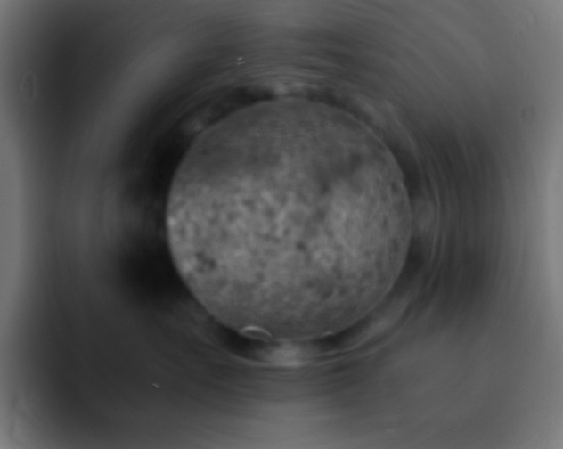X0000093100527200710031832