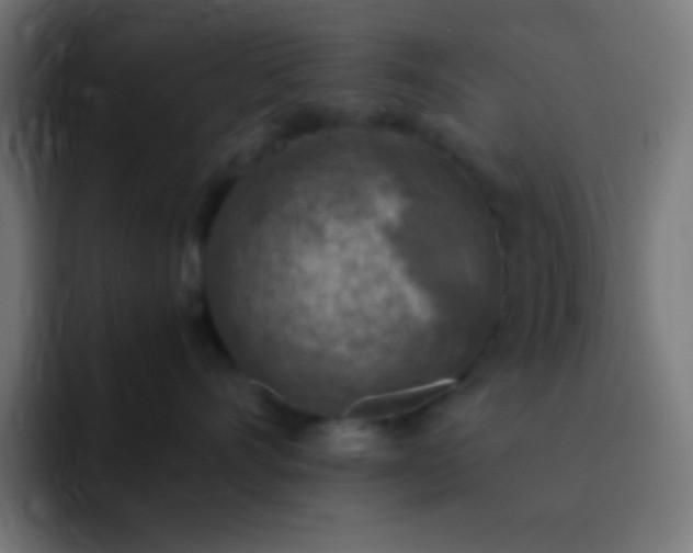 X0000093100528200710031832