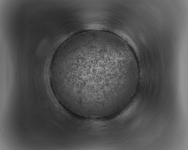 X0000093100529200710031831