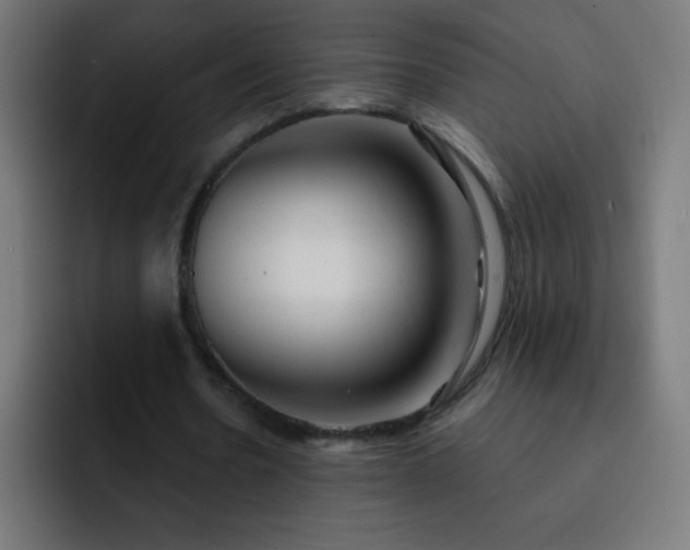 X0000093100530200710031831