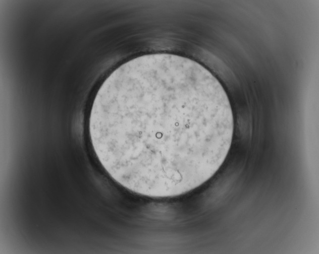 X0000093100534200710031831