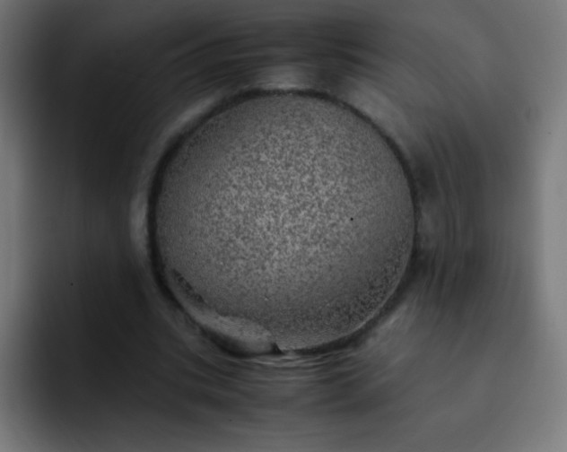X0000093100535200710031831