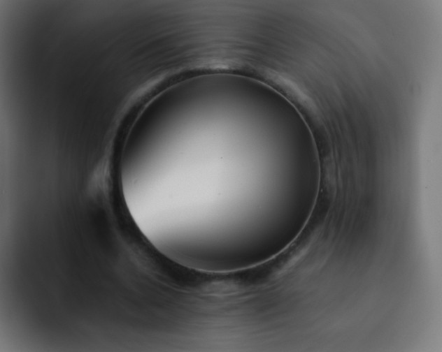 X0000093100536200710031831