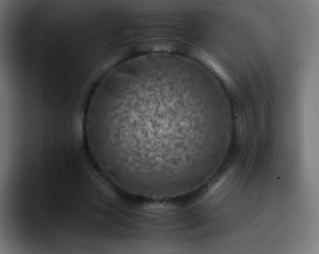 X0000093100537200710031831