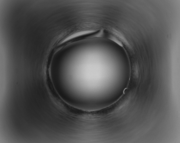 X0000093100538200710031831