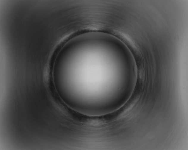 X0000093100540200710031831
