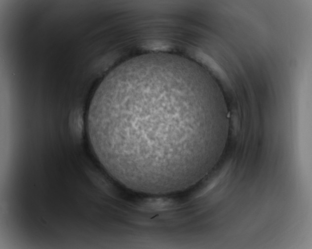 X0000093100541200710031831