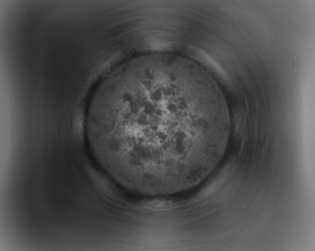 X0000093100542200710031831