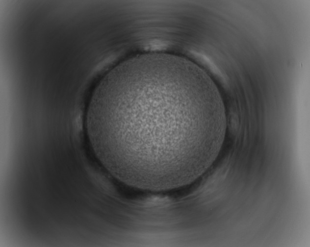 X0000093100543200710031831