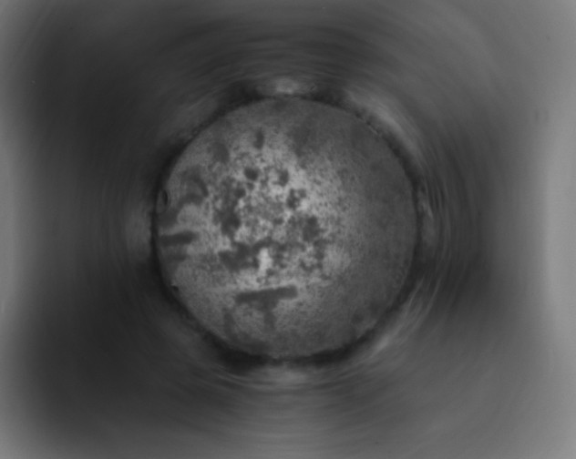 X0000093100545200710031831