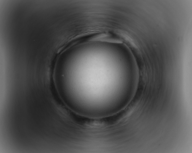 X0000093100546200710031831