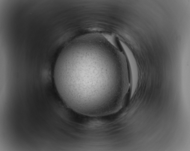 X0000093100547200710031831